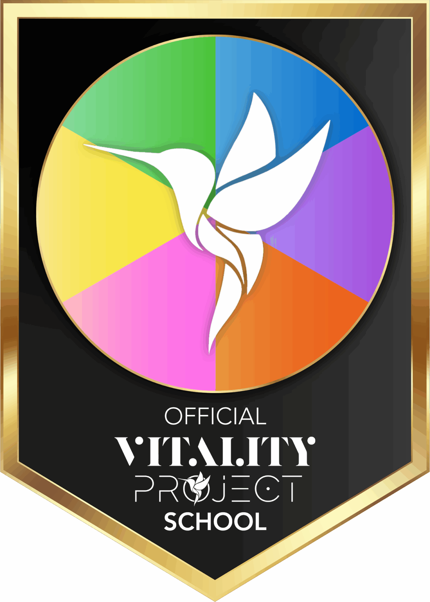 Official Vitality project badge for Ogle School