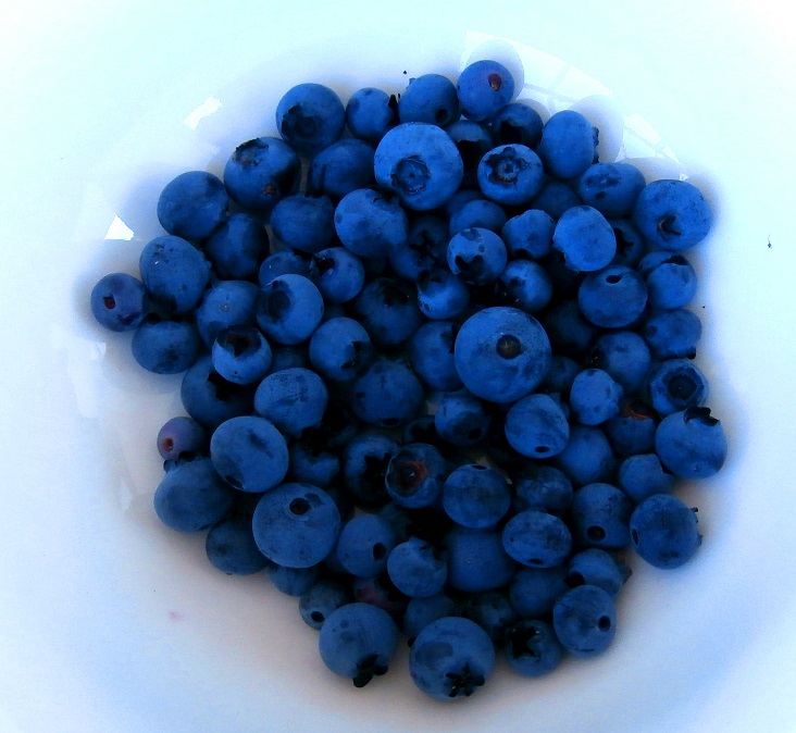 Natural Foods Blueberries