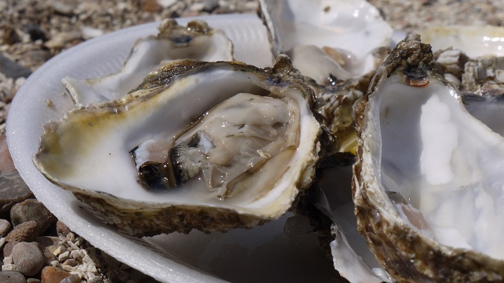 Natural Foods Oysters