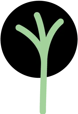 the fork split