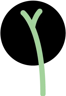 partial split