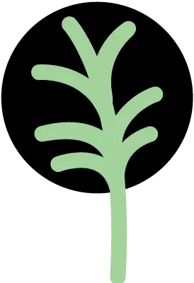 the tree split