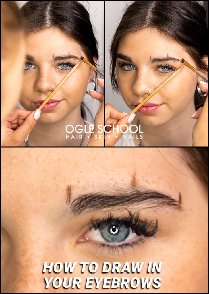 draw third brow guide